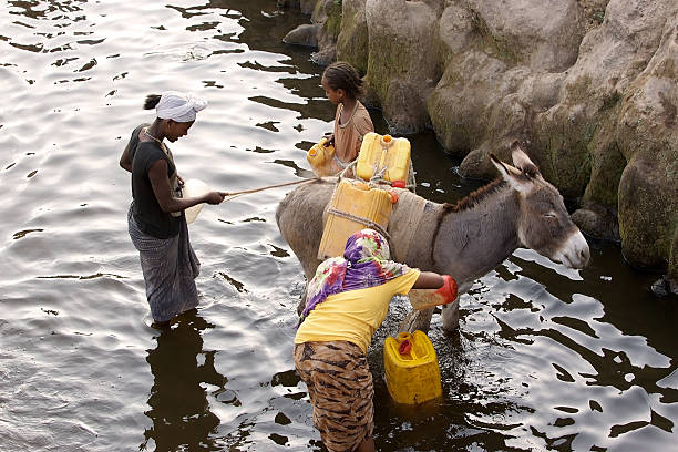 Adadi, Ethiopia, February 11, 2013: ethiopian women are taking the water from the river in the rural area