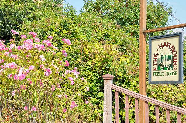 ilha de bainbridge, seattle - usa restaurant flower bed beauty in nature imagens e fotografias de stock