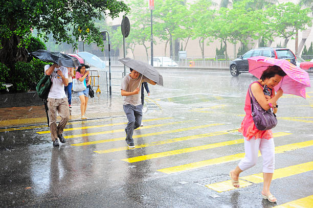 レイン - parasol umbrella asian ethnicity asian culture ストックフォトと画像