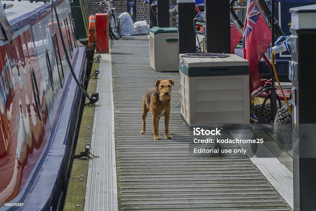 stratford canal - Lizenzfrei Enge Stock-Foto