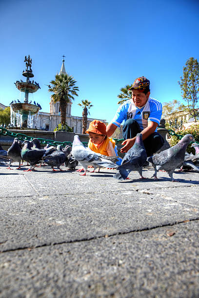 Arequipa, Peru - May 25, 2013: Peruvian father and baby daughter feeding the pigeons in the city square of Plaza De Armas in Arequipa