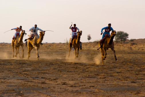 Jaisalmer, India - February 25, 2013: Camel racing at the Sam Sand Dune. The event is part of the Desert Festival held in winter to attract both domestic and international tourists.
