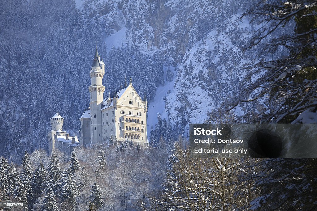 Castelo de Neuschwanstein - Royalty-free Castelo Foto de stock