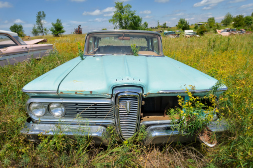 New London, Minnesota, USA - August 6, 2013: Edsel car made by Ford sitting in weed filled junkyard, baby blue in yellow weeds.