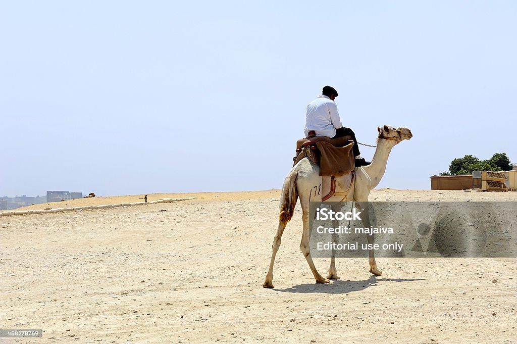 Gizé Turista Polícia - Royalty-free Agente de segurança Foto de stock