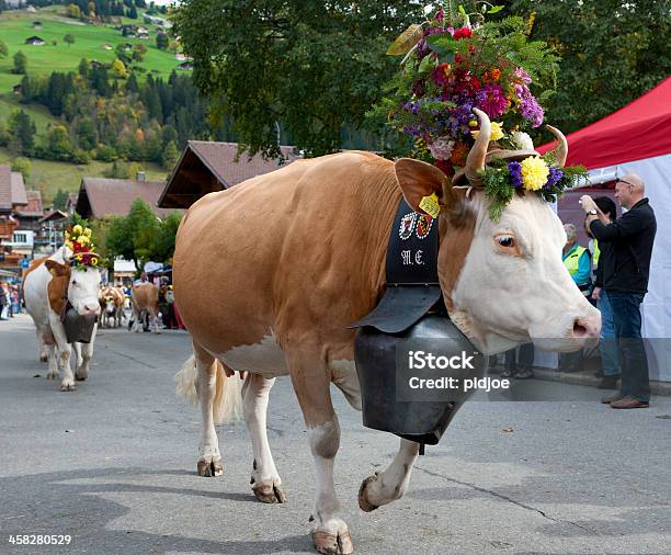 Krowy Z Kwiatów Dekoracja I Rurowe Chodzić W Village - zdjęcia stockowe i więcej obrazów Alpy