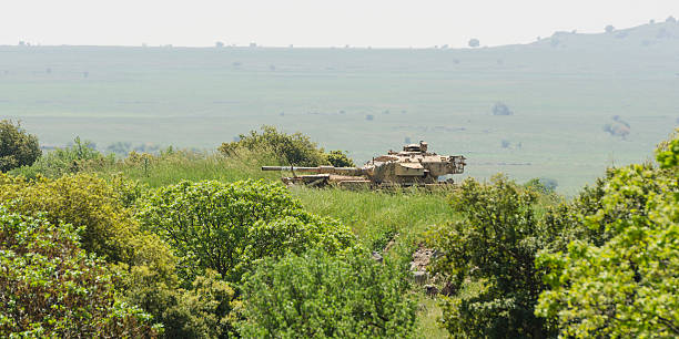 débardeur israélienne au combat devoir du plateau du golan fields - think tank photos photos et images de collection