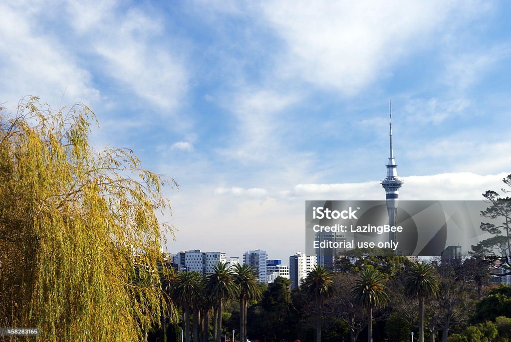 Auckland panoramę z Niebo Wieża - Zbiór zdjęć royalty-free (Auckland)