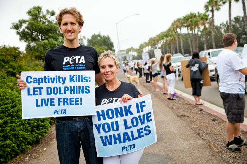 San Diego, U.S.A. - July 27, 2013: PETA Action Team Coordinators Eric Deardoff and Ellen Ericksen taking part in The International Empty the Tanks Protest at SeaWorld San Diego.