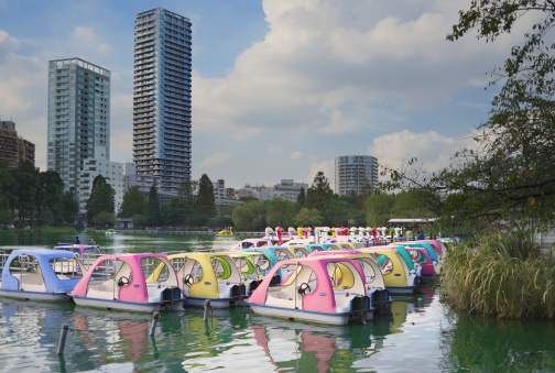 Tokyo, Japan - October 7, 2013: Pedal boat rental at the Shinobazu pond in the Ueno Park (in Tokyo) on a partly cloudy afternoon in fall. The boats have been painted in different colors and some are shaped as a swan.