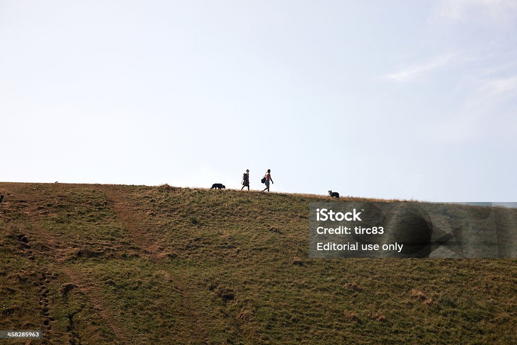 Couple walking two border collies on headland Nash Point, Wales - July 23, 2013: Hiking couple wearing shorts walking two border collies on ridge of Welsh coastal headland Border Collie Stock Photo