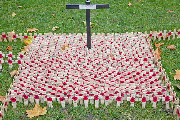 papavero cerimoniale giorno per veterani di westminster a londra, inghilterra, regno unito - ceremony poppy church us memorial day foto e immagini stock