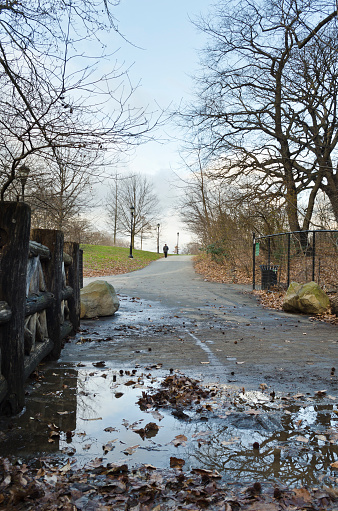 New York, USA - December 27, 2012: In distance we can see a man walking on a path in Prospect Park, Brooklyn.