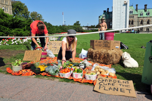Ottawa, Canada aa September 17, 2012:  Occupy protesters set up pro-garden display at a protest to mark the first anniversary of the Occupy Wall Street movement on Parliament Hill in Ottawa, Ontario.