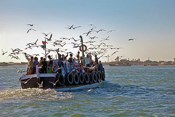 gulls viajam com o condutor a metrópole diversão - horizontal landscape coastline gujarat imagens e fotografias de stock