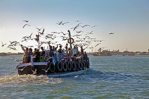 gulls голосовать поездка на материковую - horizontal landscape coastline gujarat стоковые фото и изображения