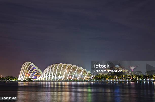 Bosque Supertree Cúpula E Flores Em Jardins Pela Baía - Fotografias de stock e mais imagens de Ao Ar Livre