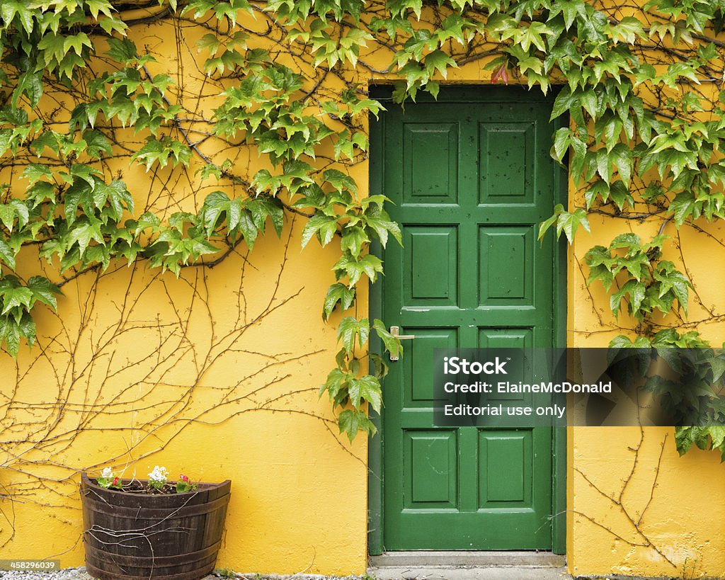 Verde porta e vinhas contra a parede em amarelo brilhante - Foto de stock de Amarelo royalty-free