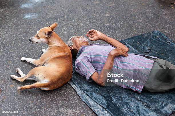 노숙자 사람 및 그릐 경견 Kalighat Kolkata India 개에 대한 스톡 사진 및 기타 이미지 - 개, 거리, 남자