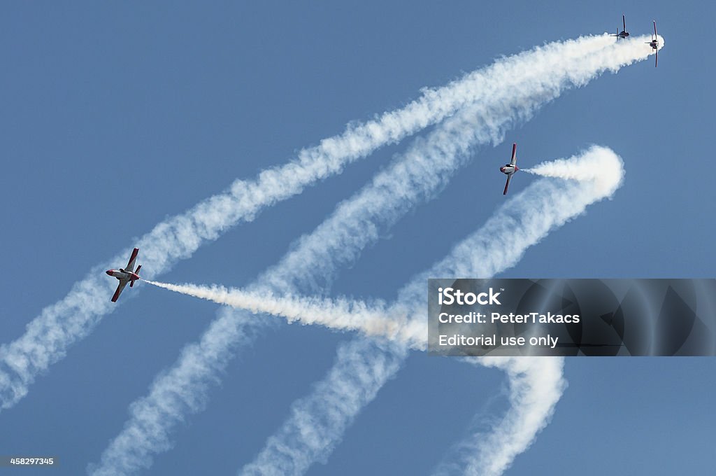 Affichage Patrulla Aguila - Photo de Armée de l'air libre de droits