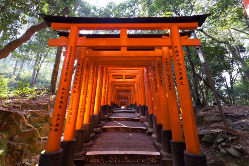 Kyoto, Japan - January 24 2013: Torii corridor at the Fushimi Inari Taisha shrine in Kyoto, Japan.