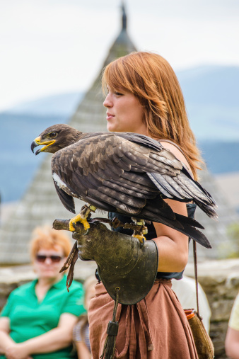 Stara Lubovna, Slovakia - August 26, 2012: female falconer performing with her bird (steppe eagle) during Falconry Show in Stara Lubovna.