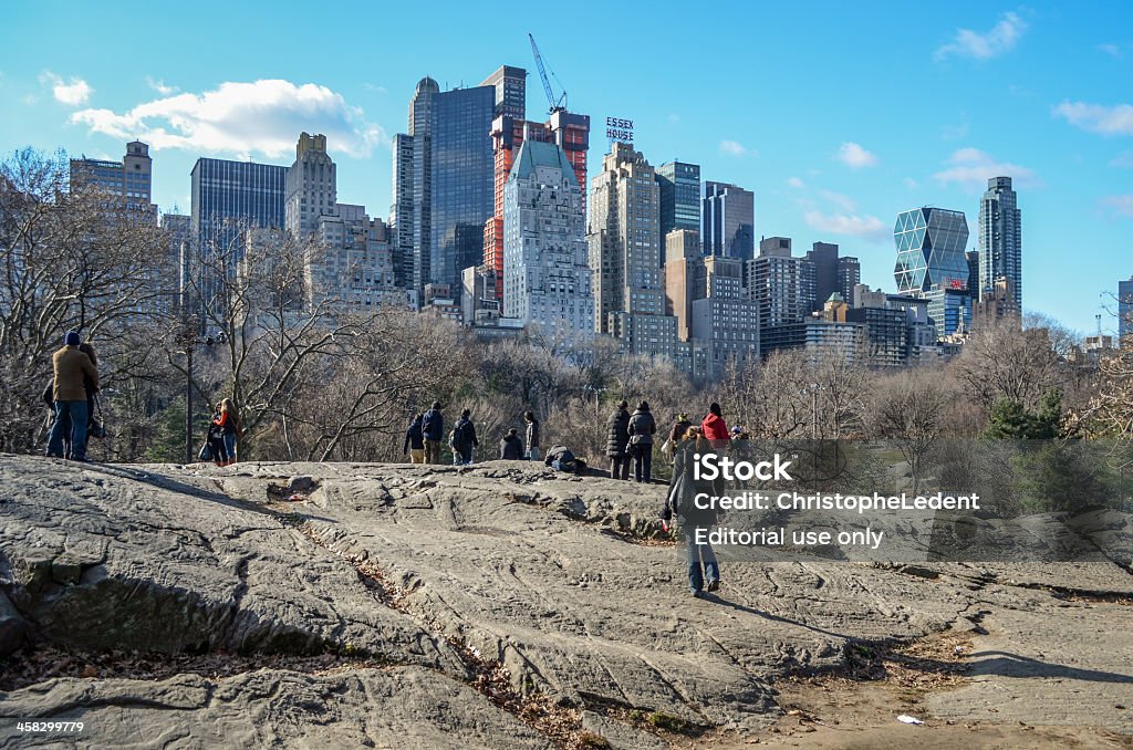 Sehenswürdigkeiten in Central Park (NYC) - Lizenzfrei Ast - Pflanzenbestandteil Stock-Foto