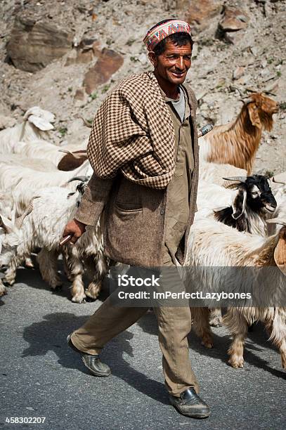 Himalaya Shepherd Von Lahoul Valley Führt Seiner Herde Stockfoto und mehr Bilder von Bauernberuf