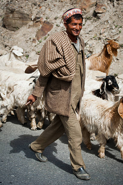 Lahoul Valley, India - September 5, 2012: Himalayan shepherd from Lahoul Valley leads his goat and sheep flock. India, Himachal Pradesh, Lahoul Valley September 5, 2012