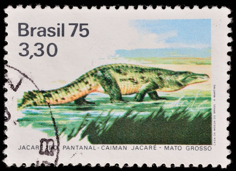 Stockholm, Sweden - February 11, 2013: A Stamp printed in Brazil shows Brazilian caiman, circa 1975