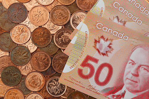 新しいカナダ 50 ドル紙幣、ベッドの上のペニー - canadian culture penny coin finance ストックフォトと画像