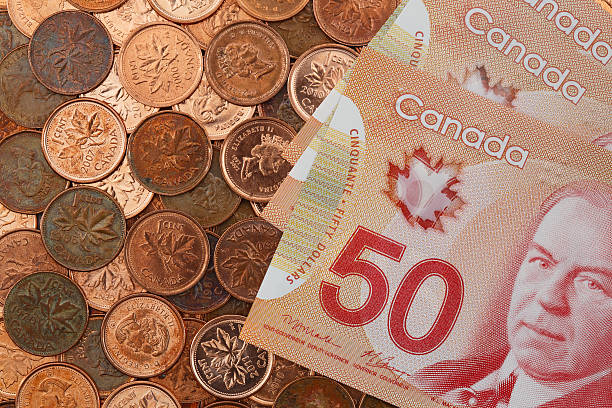 새로운 50 달러 지폐 위에 페니 - canadian culture penny coin canada 뉴스 사진 이미지