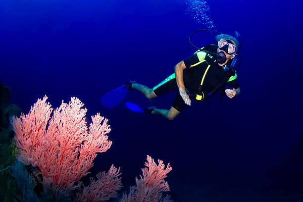 シニアスキューバダイバースウィミングには、サンゴ礁の水中 ストックフォト
