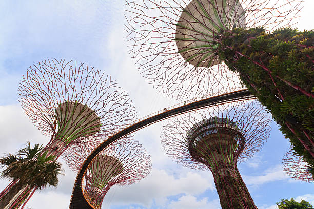 Singapore, Singapore - January 5, 2013: Day view of The Supertrees Grove at Gardens by the Bay. Spanning 101 hectares of reclaimed land in central Singapore, adjacent to Marina Reservoir.