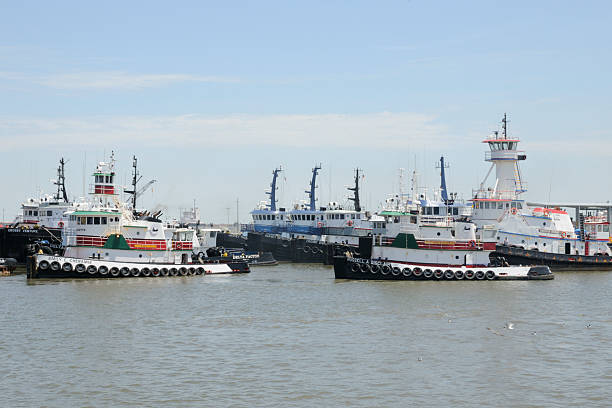 Tugboats in Harbor stock photo