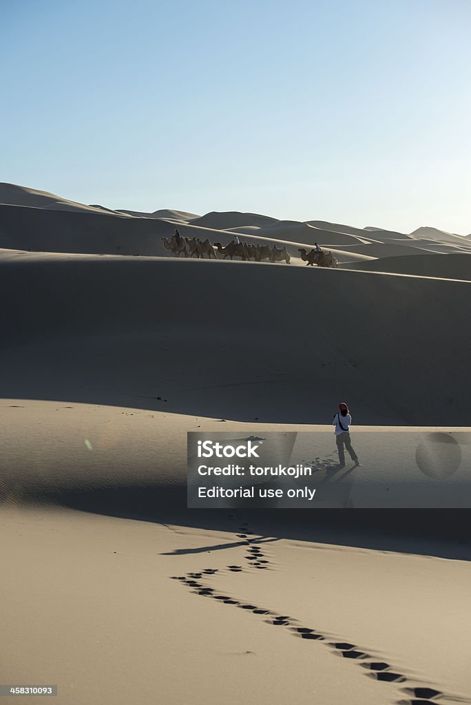 Desierto de Gobi Camine con camellos - Foto de stock de Aire libre libre de derechos