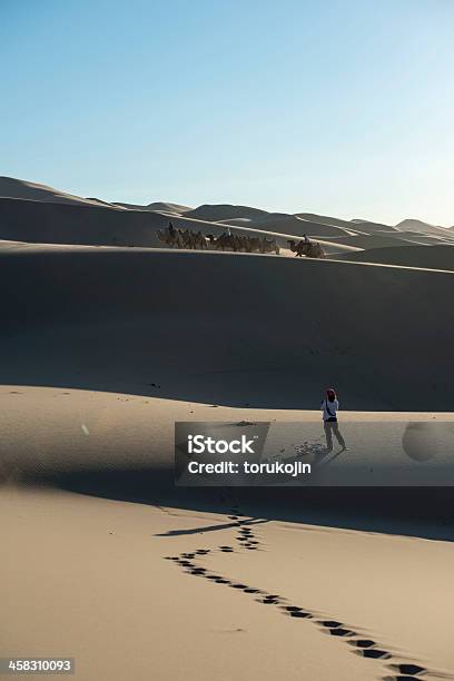 Desierto De Gobi Camine Con Camellos Foto de stock y más banco de imágenes de Aire libre - Aire libre, Arena, Asia