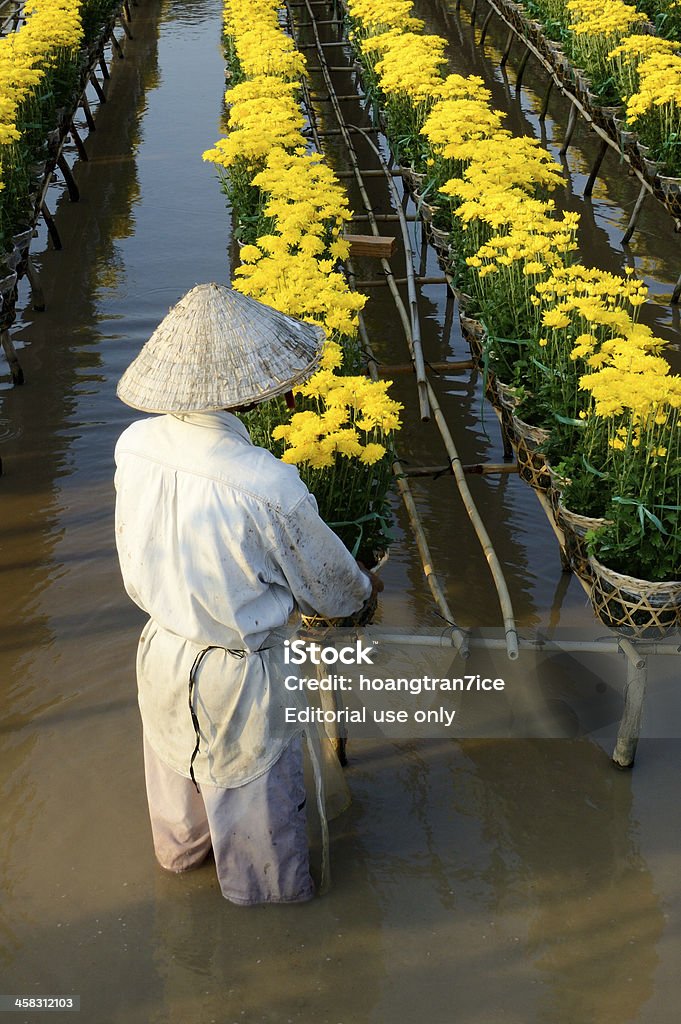 Vietname Homem, tendo o cuidado de Flores - Royalty-free Adulto Foto de stock
