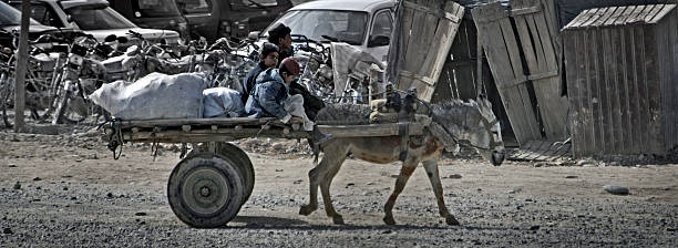 niños montando una montaña del afganistán, burro lashkar gah ciudad, helmand provincia de afganistán - helmand fotografías e imágenes de stock