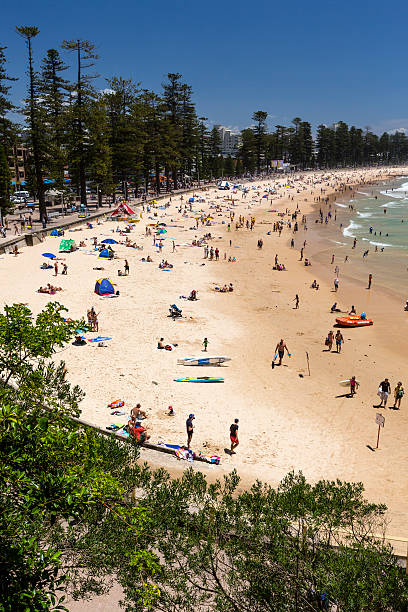 맨리 비치 - manly beach summer beach pacific ocean 뉴스 사진 이미지