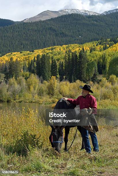 Осень Цвета В Колорадо — стоковые фотографии и другие картинки Вертикальный - Вертикальный, Взрослый, Время года