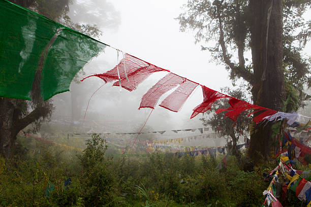 Gebet flags in den nebligen Wald umliegenden Dochu La – Foto