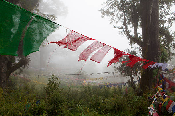 Prayer flags in the misty woods surrounding Dochu La stock photo