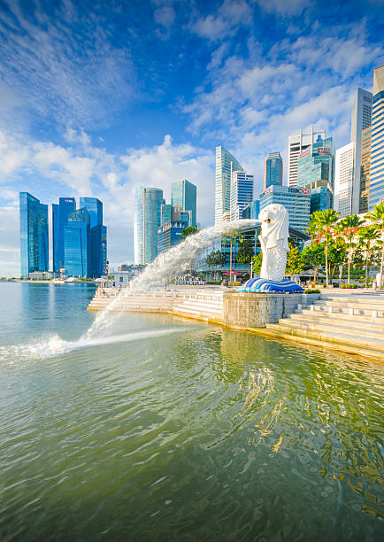 hermoso sol de la mañana en el parque de merlion de singapur - merlion singapore marina bay lighting equipment fotografías e imágenes de stock