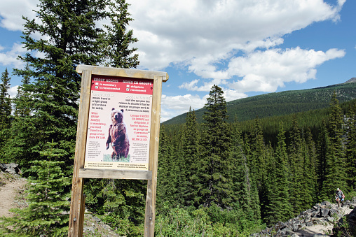 Lake Louise,  Alberta, Canada - July 7, 2013: Warning sign recommending people to hike in a group of 4 or more, due to the possible proximity of grizzly bears. When this advice is mandatory, you must travel in a group of 4 or more by law. This sign is placed at the beginning of the hikes near Lake Moraine, a glacial lake located about 14 km of the village of Lake Louise in Banff National Park. In the background a man coming back from his hike.