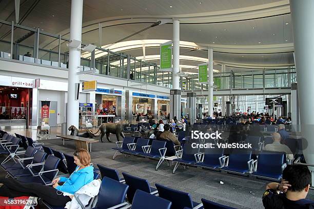 Waiting At The Gate Stock Photo - Download Image Now - Airplane, Airport, Airport Departure Area