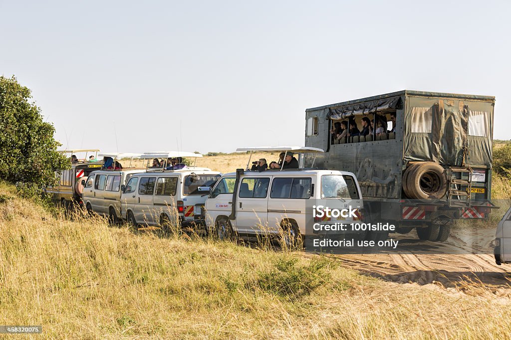 Touristen vor Leben wild mit safari-Autos - Lizenzfrei Afrika Stock-Foto