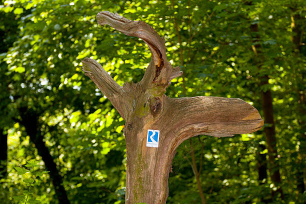 KAnigswinter, Germany - July, 10th 2010: Rheinsteig trekking sign on dead tree trunk looking like elk's or deer's head. Path sign between KAnigswinter and Bad Honnef in forest of Siebengebirge.