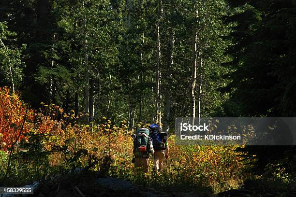 Área Silvestre De Las Montañas Backpackers En Mármol Foto de stock y más banco de imágenes de California