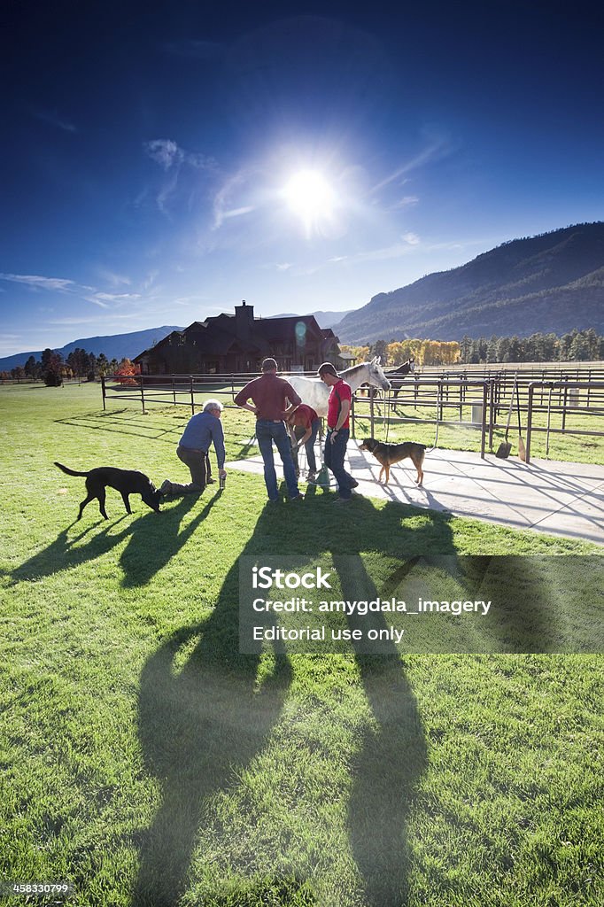 rocky mountain lifestyle Durango, USA- October 15, 2011: A group of men ferriors work on the hooves of a horse while dogs frolic in the grassy ranch meadow.  Durango, Colorado, located in the San Juan Range of the Rocky Mountains attracts hearty folks of the rancher ilk to its beautiful landscapes and recreational possibilities. Colorado Stock Photo